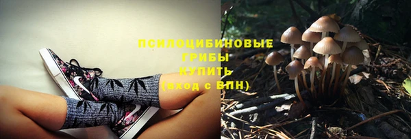 круглые Абаза