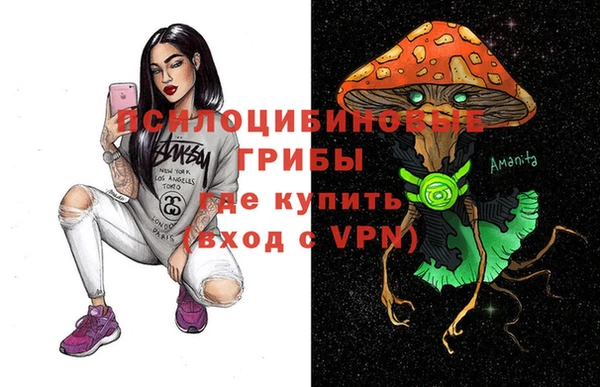 круглые Абаза